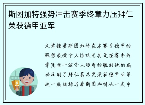 斯图加特强势冲击赛季终章力压拜仁荣获德甲亚军