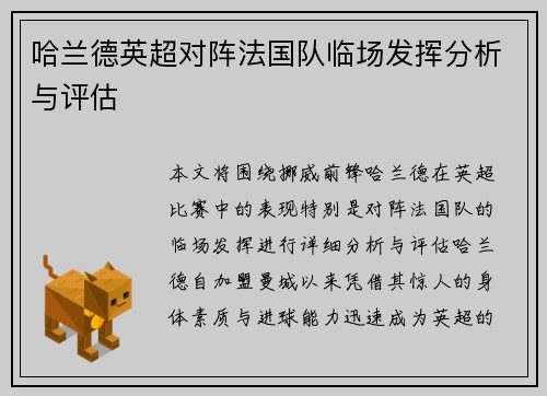 哈兰德英超对阵法国队临场发挥分析与评估